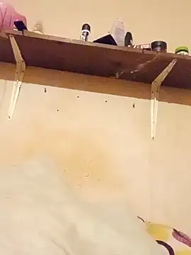 125Delfin90 online show from 8, 11, 2025