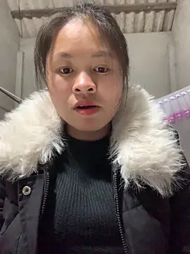 NhuFox online show from 15, 1, 2026