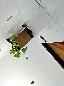 Rodrigo99 9 online show from 10, 4, 2026