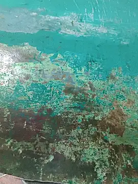 Love-pari077 online show from 2, 10, 2025