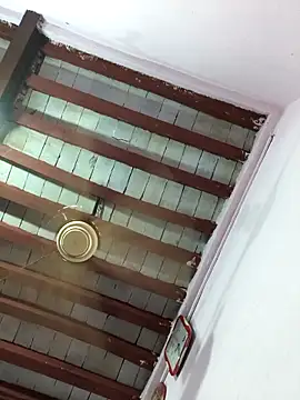 Love-pari077 online show from 4, 4, 2026