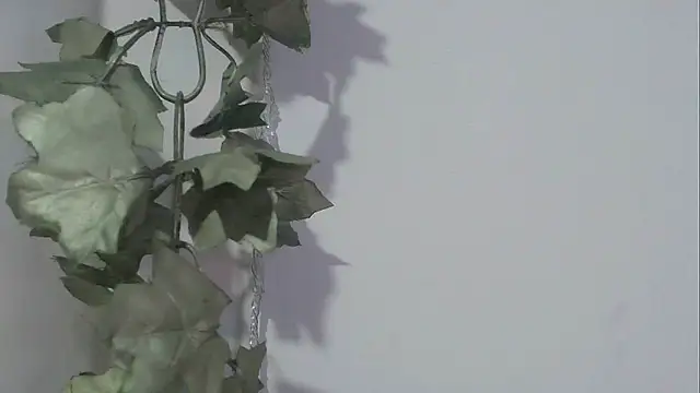 angelainparis28 online show from 17, 11, 2025