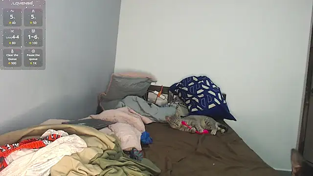 Snapshot of brisazanes chatting on 13, 11, 2025 brisazanes online show from 13, 11, 2025