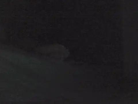 sarahkat86 online show from 30, 10, 2025