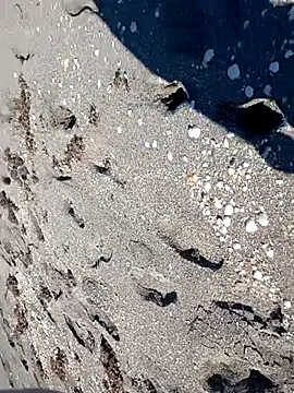 sarahkat86 online show from 14, 11, 2025