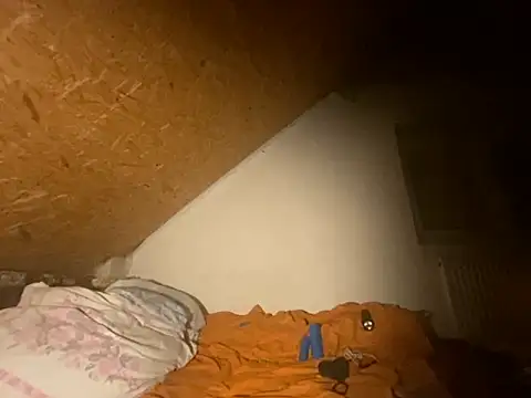 Salon1986 online show from 12, 10, 2025