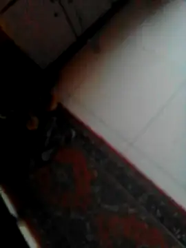 sotpornhub online show from 9, 9, 2025