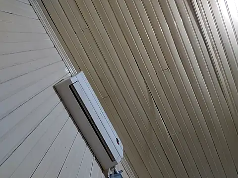 Gustavo198045 online show from 13, 2, 2026