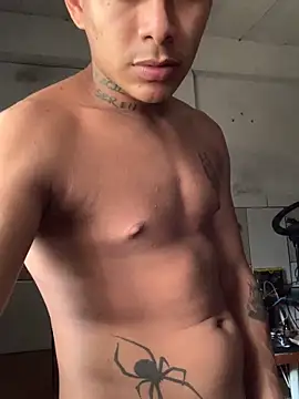 Novindot23cm online show from 21, 12, 2025