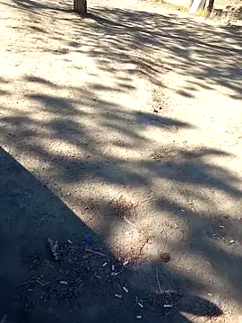 bullut06 online show from 23, 9, 2025