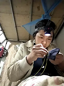 naop04 online show from 3, 11, 2025