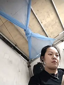 naop04 online show from 5, 11, 2025