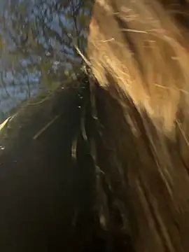 -juicy  online show from 17, 2, 2026