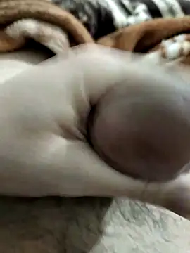 Zepe 12 online show from 1, 3, 2026