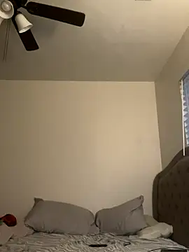 pnwzo online show from 19, 12, 2025