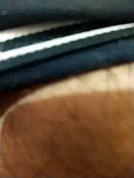 8inches DelhiBOY online show from 17, 11, 2025