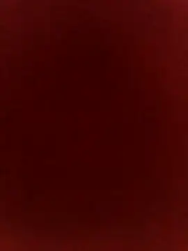 sanu 07 online show from 15, 4, 2026