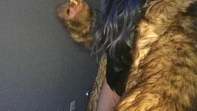 Stevey5894 online show from 30, 11, 2025