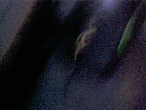 Dotadobelempa online show from 16, 1, 2026