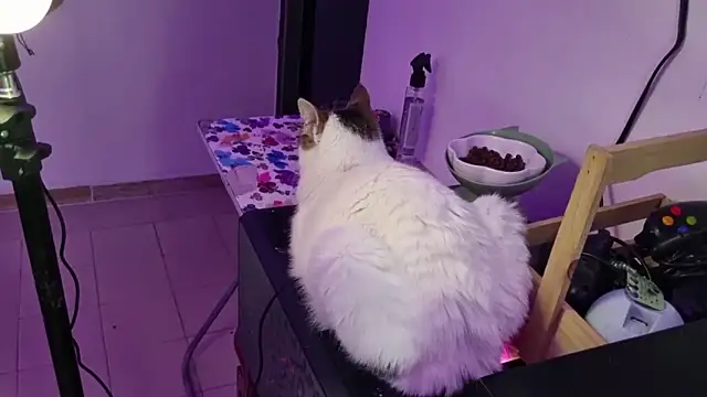 Lovers cave online show from 19, 12, 2025