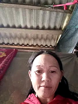 MaiHoa69 online show from 26, 10, 2025