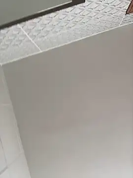 Novinhodotadomg online show from 29, 10, 2025