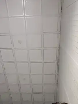 onao7 online show from 3, 4, 2026