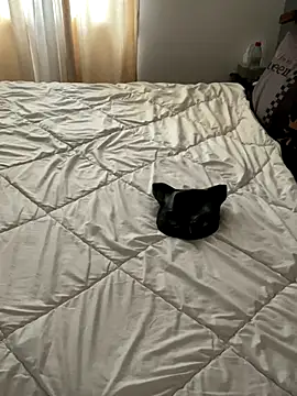 LesAmantsAE2 online show from 11, 10, 2025