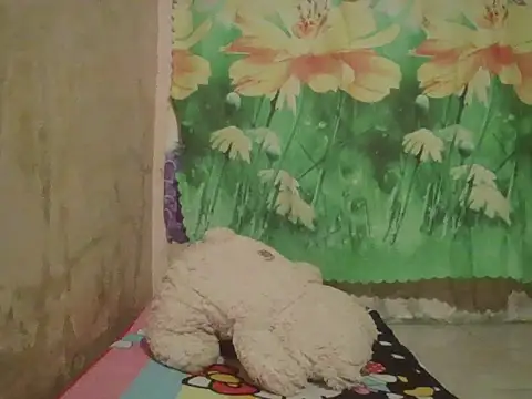 sexymorenal18 online show from 27, 9, 2025