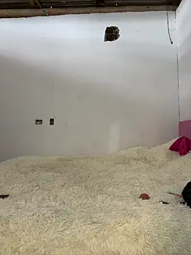 Alexis Spicter online show from 13, 12, 2025