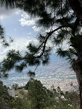 Alexis Spicter online show from 14, 12, 2025