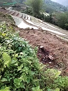 PhamPm70 online show from 2, 4, 2026