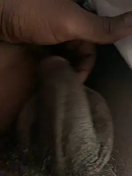 bbc59 online show from 15, 4, 2026