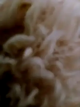 hanan-sex online show from 29, 11, 2025