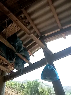 CoMay003 online show from 12, 4, 2026