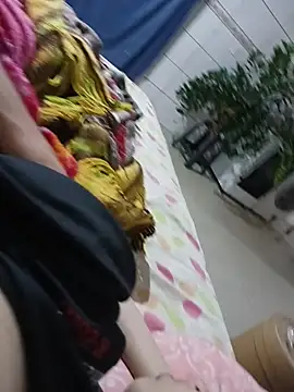 Snapshot of thequestiontrad chatting on 29, 11, 2025 thequestiontrad online show from 29, 11, 2025