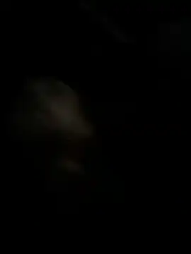 Snapshot of high3ndlowlife chatting on 27, 11, 2025 high3ndlowlife online show from 27, 11, 2025