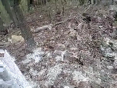 fischnet online show from 20, 9, 2025