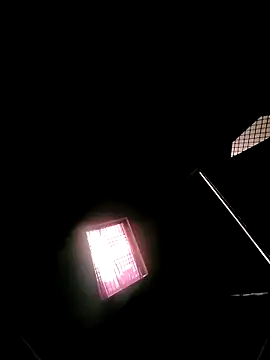 princexdcs online show from 7, 2, 2026