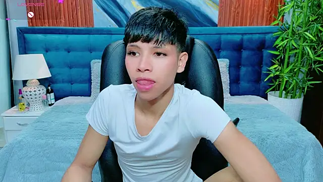 dilan 911 online show from 29, 3, 2026