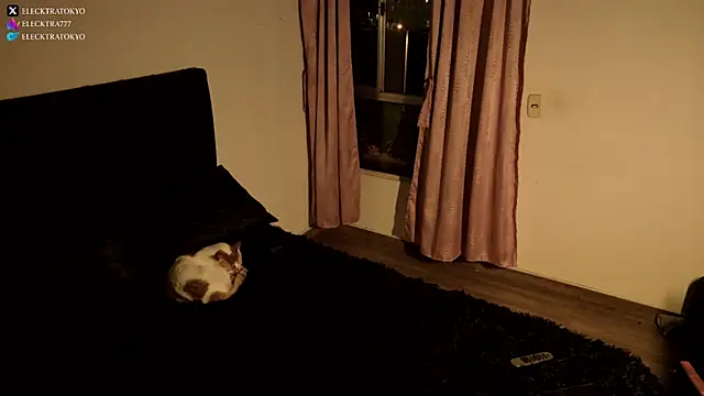 Snapshot of alexxatokyo chatting on 26, 10, 2025 alexxatokyo online show from 26, 10, 2025