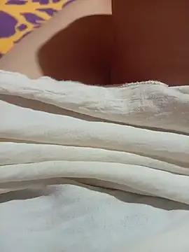 NoHA 66 online show from 2, 11, 2025