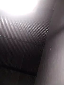 lucerocutte online show from 12, 10, 2025