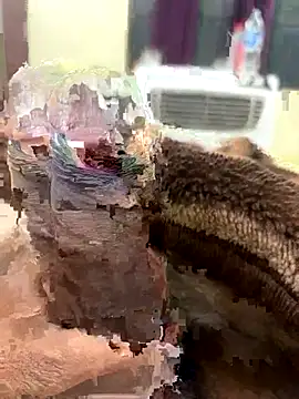 its Surya BBC online show from 27, 11, 2025