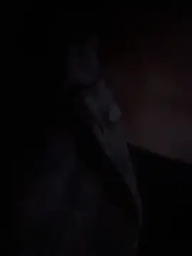 LilybethGray online show from 19, 11, 2025