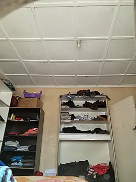 sweetdickboy2 online show from 16, 5, 2026