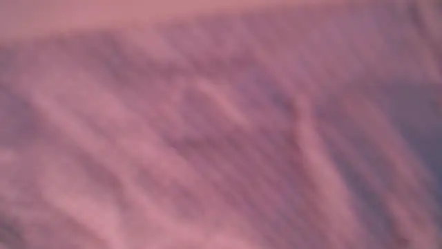 Snapshot of Liz_Hu chatting on 10, 10, 2025 Liz Hu online show from 10, 10, 2025