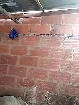 hoteder online show from 7, 3, 2026