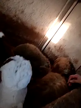 ezgi2545 online show from 20, 2, 2026