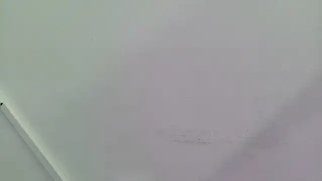 Lizbeth Rouse online show from 28, 9, 2025